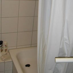 ★Tomongaの365日 in Germany★