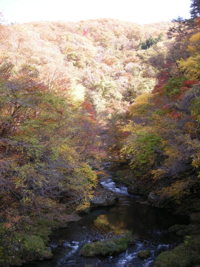 晩秋…の記事画像