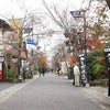 阿蘇神社　門前町散策の画像