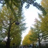 立ち位置。の画像