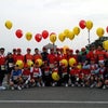韓国 2010 晋州マラソンの画像