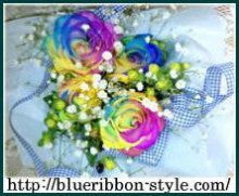 $Blog de Blue Ribbon Style　★　Chihuahua breeds.