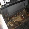 厨房内のネズミの巣の画像