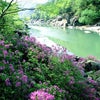 韓国 咸陽-龍遊ダムの画像