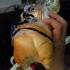 本日からの主食。の画像