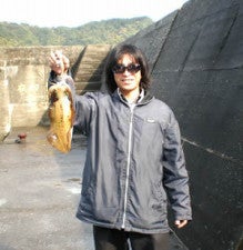 竜雲斎の土佐(高知)の釣りブログ