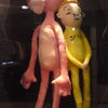 ピンクと黄の画像