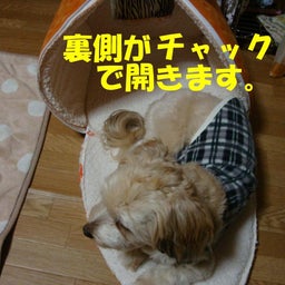ﾃﾂﾔとほのぼの生活
