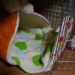 ﾃﾂﾔとほのぼの生活
