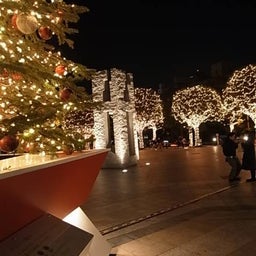 愛に彷徨する愚物の咆哮記 雷電のブログ