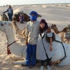 チュニジア旅行　ラクダなどの画像