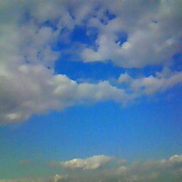☆春夏秋冬ぃぃﾄｺ日記☆-201012070930000.jpg
