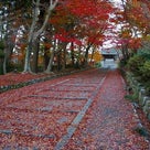 京都☆毘沙門堂の❤紅葉の記事より