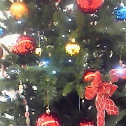 ☆春夏秋冬ぃぃﾄｺ日記☆-201012131825000.jpg