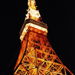 ☆o○*サ～ラ*o○☆ﾟの写真日記-126
