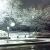 SNOWの画像