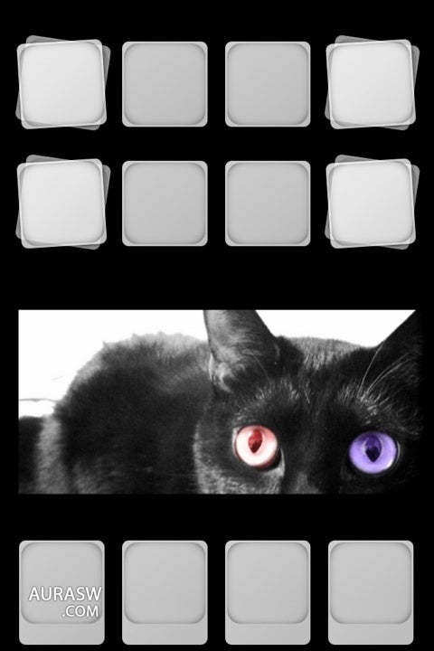 Iphone壁紙 黒猫 ｎecomap 黒猫的生活計画