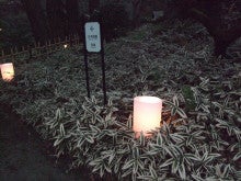 アートテラー・とに～の【ここにしかない美術室】-日本庭園