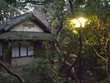 アートテラー・とに～の【ここにしかない美術室】-日本庭園