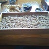 蕎麦の画像