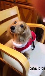 ＊ りんりんりんの記事画像