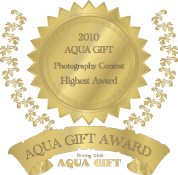 AQUA GIFT（アクアギフト）のSTAFFブログ