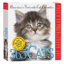 365Cats 2011 Calendar - 英語が楽しく学べるこどもの本