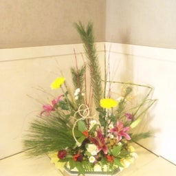 RYO子Blog  *☆*―夢現―*☆*