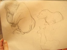 １０月の絵画サークル凛 王子動物園 2011 スケッチで会いましょう | 動物園, 絵画, スケッチ