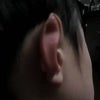 モーツァルトの耳の画像