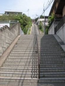自然、戦跡、ときどき龍馬-上り口からの長大な階段