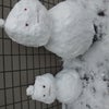2011/01/15の画像