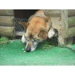 mi0421さんのﾌﾞﾛｸﾞ-DSCF8015_ed.jpg