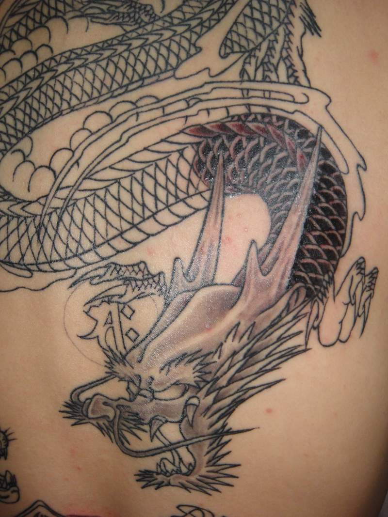 1月18日 2人目の刺青「龍虎 背中」女性 宮崎 刺青 彫師 DRAGON HEART 初代彫竜心のブログ