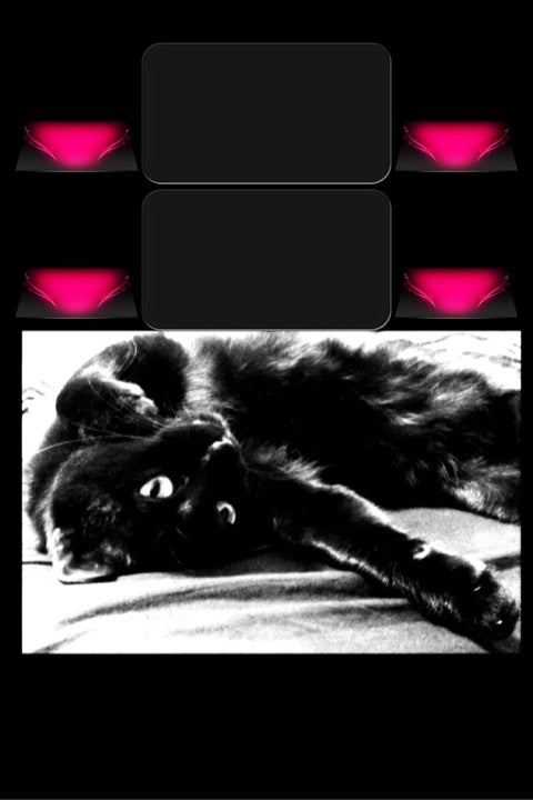 Iphone壁紙 たまにはかっこいい黒猫 ｎecomap 黒猫的生活計画
