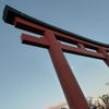 鎌倉　鶴岡八幡宮◆vol.135の画像