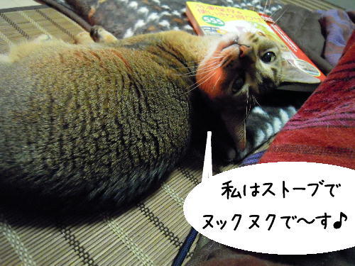 ぷりぽち日記～猫とアラフォー女