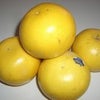 グレープフルーツの痩せ効果の画像