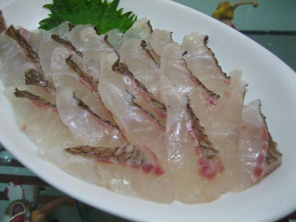 皮付き鯛の炙り タイラギ刺身 R Yutaの面白日記ブログ