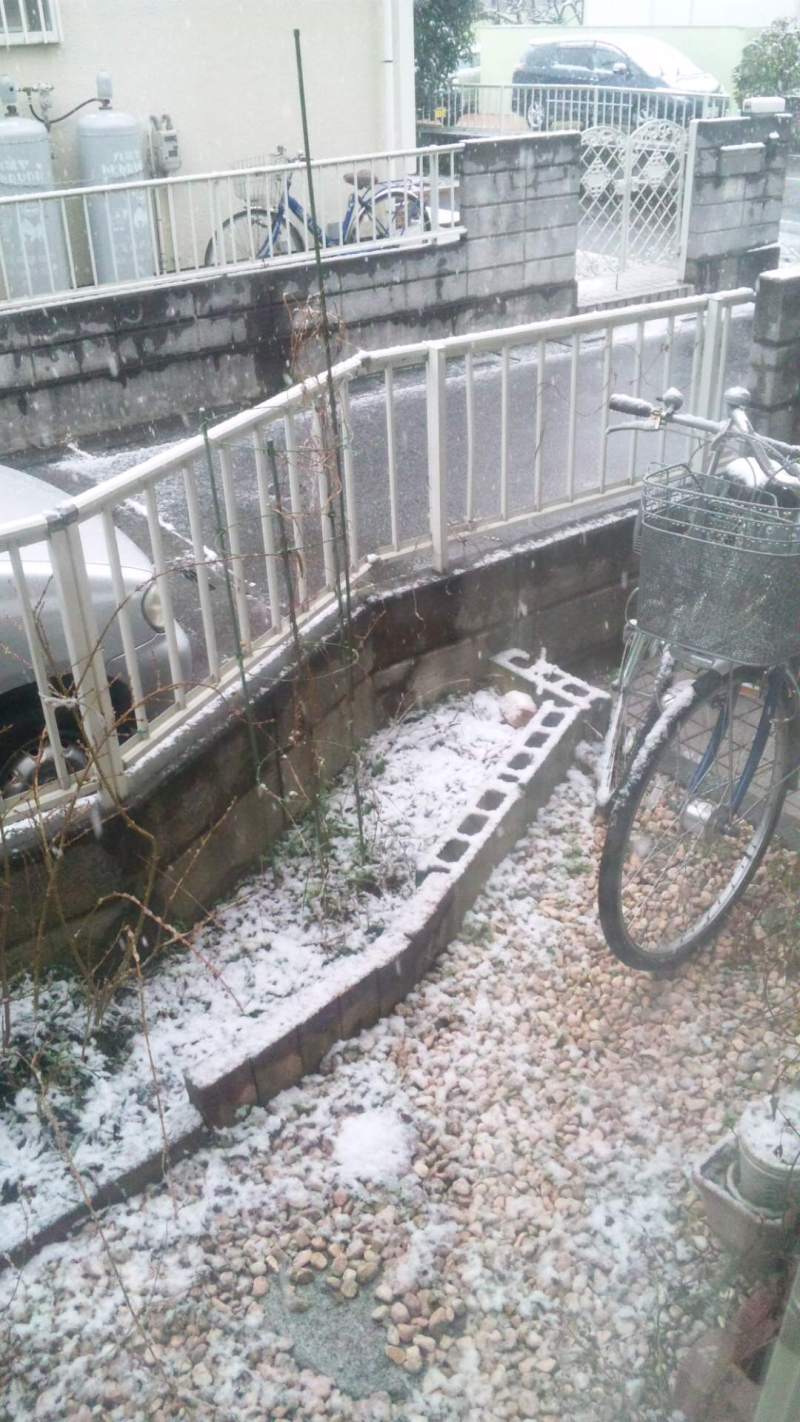 続くかな…このブログ(´・ω・｀)