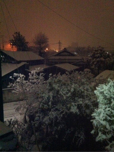 photo:01