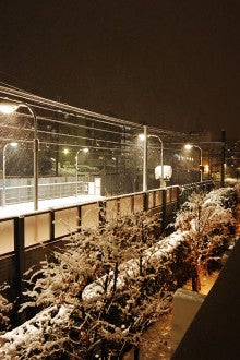 Open!YAMAnDA-駅の大雪