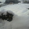 雪国の画像