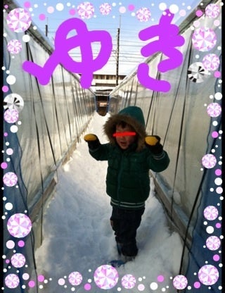 photo:04