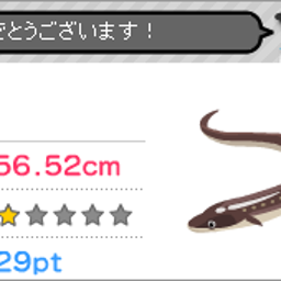 アナゴ