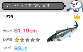 サワラの記事画像