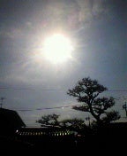 青空の記事画像