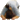 mi0421さんのﾌﾞﾛｸﾞ-3__MTBfX0d5UkNKVlVsSVNVa0pXc2JLRUl3T.gif