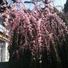 みんなで協力！！！の画像