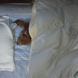 のんびり雷斧-DVC00009.jpg